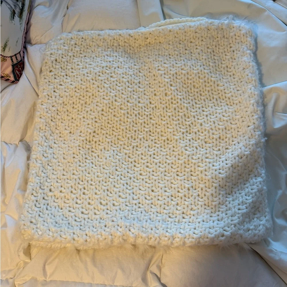 Pottery Barn Woven White Large Pillow Case